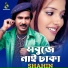 Shahin