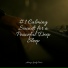 Piano Dreams, Klassisk Musik Orkester, Calm shores