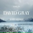 David Gray