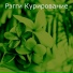 Рэгги Курирование