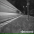 Ant records