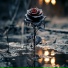 SANAT