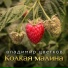 6065. Цветков Владимир
