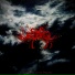 Love And Other Demons