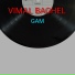 VIMAL BAGHEL