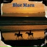 Blue Macu