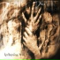 DISMAL DAWN project