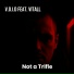 V.O.I.D. feat. VITALL