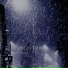 shimura