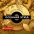 Сергей Жилин, Денис Бриль