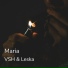 VSH, Leska