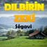 Dılbirin Zeki