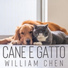William Chen