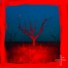 root8