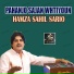 Hamza Sahil Sario