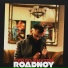RoadNoy