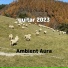 Ambient Aura