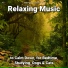 Sleeping Music, Relaxing Music, Yoga