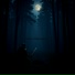 Nightterrorq