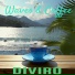 Diviro