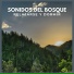 Sonido del Bosque y Naturaleza