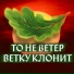 Глеб Громков