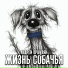 Андрей Оршуляк