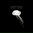 Spacecadet Lullabies