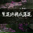 大图钉
