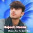 Najeeb Nesar