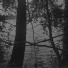 SCANTA