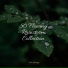 Sleep Songs 101, Nature Chillout, Rainfall