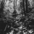 Enjune, Corey Harper