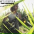 The Earliers feat. Sebah