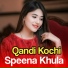 Qandi Kochi