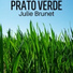 Julie Brunet
