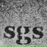 Shy Guy Says