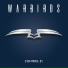 Warbirds