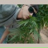 JAINNEKEN