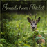Nature Music Sanctuary