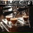 My Black Cat
