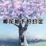 张凯, 哈尼
