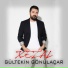 Gültekin Gönülaçar