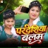 Amar Utpati