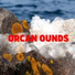Orcan Ounds