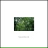 Slow Life Music Laboratory