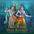 Navin Tripathi, Gul Saxena, Navin-Manish