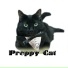 N2 Cat Crew