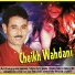 Cheikh Wahdani