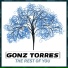 Gonz Torres